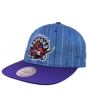 Mitchell & Ness Toronto Raptors Mens Cap