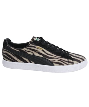 Coogi puma shop quiz
