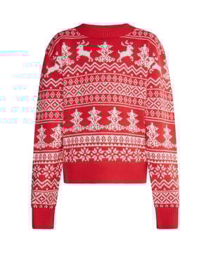 Da freut sich auch der Weihnachtsmann: Mit dem Statement Pullover von myMo KIDS holt ihr euch den Christmas-Spirit in den Kleiderschrank. Die feierlichen Motive, bestehend aus Tannenbäumen, Rentieren und Schneeflocken, bilden die zauberhafte Szenerie. Das Material: ein weiches, wärmendes Garn mit formstabilen Rippstrickbündchen.  Zur Seite fahren