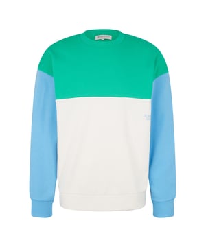 Dieses Herren-Sweatshirt von Tom Tailor ist ein modisches und bequemes Kleidungsstück. Es hat einen Rundhalsausschnitt, lange Ärmel und eine lockere Passform. Das Sweatshirt hat ein Farbblockdesign in verschiedenen Farben und einen dezenten Logodruck auf der Vorderseite. Es ist aus hochwertigen Materialien gefertigt und hat gerippte Bündchen und Saum. Das Sweatshirt ist sehr angenehm zu tragen und lässt sich gut mit Jeans oder Jogginghosen kombinieren. Dieses Sweatshirt ist ein tolles Basic für jeden Kleiderschrank.