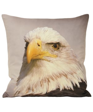 Show your wild side with the Eagle Animal cushion. Featuring a realistic print of a majestic bald eagle it will be a definite talking point. This soft cushion cover is made of faux suede fabric giving it that notable leather-like feel with no harm to any animals in the process.
