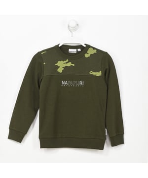 Sudadera Napapijri.
Color Verde
Cuello redondo acanalado.
Manga larga, con puños con acabado acanalado.
Forro interior.
Costuras vistas a tono.

Composición:  100% Poliester

Lavar máximo a 30ºC.
- No planchar.
- Permite usar secadora.
- No usar lejía.
- No admite el lavado en seco.