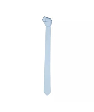 <ul>
  <li>Corbata ajustada</li>
  <li>Color solido</li>
  <li>Tamano: 40 mm</li>
</ul>