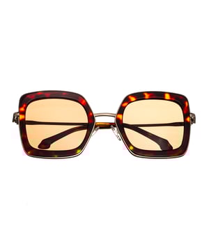 Montura de acetato ligero; Lentes CR-39 duraderas; Elimina el 100% de los rayos UVA/UVB; Brazos de alpaca de alta calidad; Bisagras estándar de acero inoxidable; Almohadillas nasales ajustables para un ajuste cómodo y seguro; Resistente a rayones e impactos;