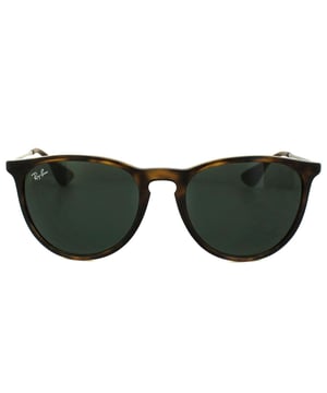 Ray-Ban Sunglasses Erika 4171 710/71 Tortoise & Gunmetal Green this retro   inspired sunglass feature a cool twist with the acetate frame merging into   the metal arms and back into acetate on the temple tips. Awesome!