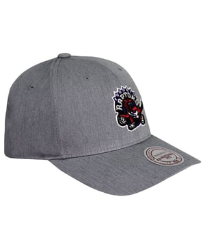 Mitchell & Ness Toronto Raptors Mens Cap