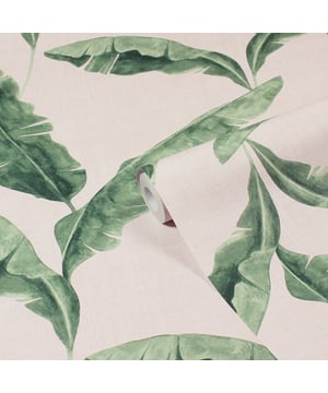 Add some tropics to your home with the Plantain wallpaper featuring tropical leaves. Taking elements of the tropical rainforest and bringing them to life with these large, luscious banana leaves in gorgeous green hues. This wallpaper is a paste the wall application; simply paste the wall, hang your paper, and leave to dry. Each roll is 10m long and 52cm wide. Pattern repeat: 53cm Straight Match. Our Plantain wallpaper can be used to paper the whole room or to create an eye-catching feature wall. This wallpaper is also wipeable so that any light marks can be dabbed away.