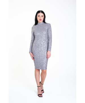 Tijdens dit feestseizoen zijn er een heleboel festiviteiten om bij te wonen. Onze nieuwe gevoerde en glinsterende grijze bodycon midi-jurk met hoge hals en lange, strakke mouwen valt tot onder de knie en past bij je favoriete hakken. Van bruidsmeisje tot bruiloftsgastjurk tot formeel kantoorfeest, in deze bodyconjurk met pailletten voel je je altijd mooi!