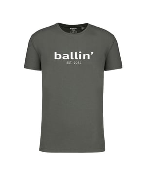 Heren t-shirt van het merk Ballin Est. 2013. De shirts van Ballin Est. 2013 zijn gemaakt van 100% biologisch katoen, en hebben een normale pasvorm. Het zachte katoen zorgt voor een heerlijk draagcomfort.  Modelnaam: Regular Fit ShirtCategorie: heren t-shirtMaterialen: biologisch katoenKleur: groen marble