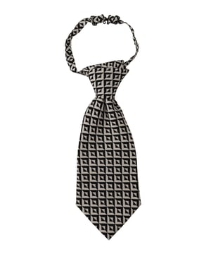 <ul>
  <li>Corbata 100% seda Dolce & Gabbana</li>
  <li>A estrenar con etiquetas</li>
  <li>Color: Negro</li>
  <li>Modelo: Atado</li>
  <li>Correa para el cuello de longitud ajustable</li>
  <li>Fabricado en Italia</li>
  <li>Ancho: 12cm</li>
</ul>