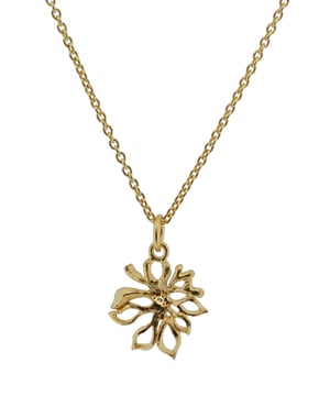 Diese Orphelia Kette mit Anhänger in Gold besteht aus hochwertigem, allergiefreiem 925 Sterling Silber. Die Orphelia Damenkette mit Anhänger - Gold ZH-6027/2 wird in einer schönen Geschenkbox geliefert und hat eine zweijährige Garantie – das perfekte Geschenk, um sich selbst oder einen geliebten Menschen zu verwöhnen.