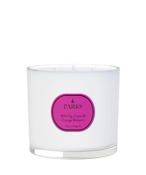 Rejuvenating and optimistic, the rounded sweetness of wild figs and blackcurrants is spiked with tangy orange and lemon in the purest wax candle