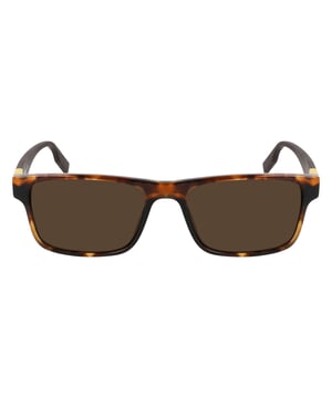 Converse Mannen Zonnebril CV520SISEUP22 - Materiaal: Acetaat - Kleur frame: Bruin - Afmetingen: 55/17/145 mm (Diameter lens / Brug formaat / Lengte veren)