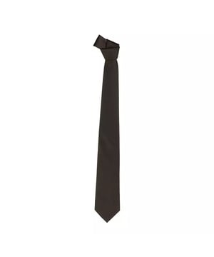 <ul>
  <li>Conjunto de corbata marron y pajarita</li>
  <li>Amarre de alfiler de punta con un ancho de 80 mm</li>
  <li>Apto para hombres</li>
</ul>
