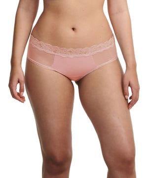Passionata Brooklyn Hipster Brief. Low cut with graphic tulle and subtle lining.