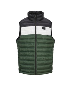 Introducing the Jack & Jones Mens Bodywarmer Puffer Gilet. Crafted with 100% Polyester, this body warmer offers both durability and comfort. The Regular fit and Sleeveless design allow easy movement during outdoor activities.

Featuring a Standup Collar and Zipper closure, this puffer gilet keeps your young ones cozy and stylish in changing weather. Available in a range of multi-colors, it adds a vibrant touch to their outfits.