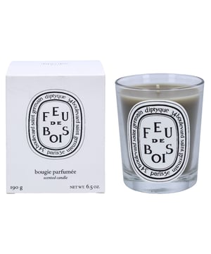 Diptyque Feu De Bois Scented Candle