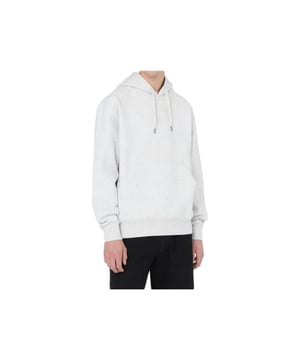 SUDADERA HOMBRE SUMMERDALE HOODIE GRIS