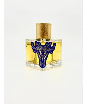 Put on a piece of music that never fails to raise the hairs on the nape of your neck. Now you’re ready to sink deep into a feeling of unbridled passion, personified by Kocha Nights, a perfume that opens with burst of red fruits , blends into a floral heart of tagete, and envelops the wearer in rich smoldering cedarwood, amber, and vetiver.

Top Notes 
Fruity notes

Heart Notes 
Tagetes

Base Notes 
Amber, Cedarwood, Balsamic notes, Vetiver