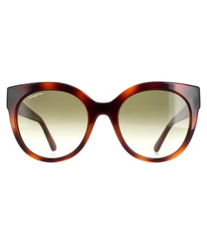 Las gafas de sol Salvatore Ferragamo Cat Eye Ladies Tortoise Green SF1031S son un elegante estilo ojo de gato fabricado en acetato ligero. El logotipo de Salvatore Ferragamo incorpora las patillas para autenticidad de la marca.