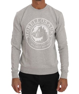 Nuevo con etiquetas  
Suéter de manga larga con cuello redondo  
Color: Gris  
Motivo: Morellasaurs  
Detalles del logo  
Material: 100% algodón