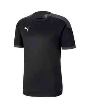 Puma DryCell Team Final 21 Trainingsshirt Mouw Zwart Heren T-shirt 656481 03