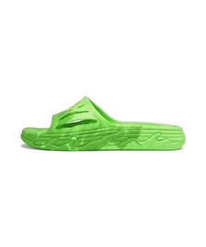 Coogi puma quiz shop