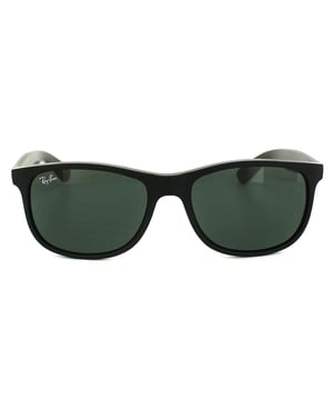 Ray-Ban Sonnenbrille Andy 4202 606971 Mattes Schwarz Grün