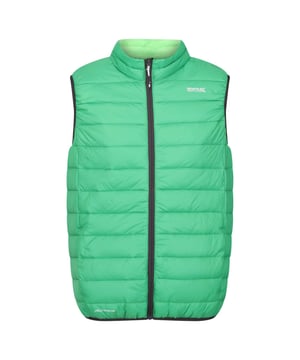 De Marizion heren bodywarmer van Regatta is een must-have. Stretchbinding houdt de elementen buiten en de isolatie zonder functies houdt de kou buiten. De heren bodywarmer is afgewerkt met een waterafstotende coating. Materiaal: 100% polyamide. Ref: RMB135K19.