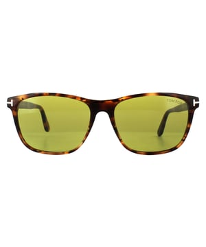 Les lunettes de soleil Tom Ford 0629 Nicolo 55n Havana Green sont des lunettes de soleil inspirées de Wayfarer pour les hommes. Le cadre d'acétate léger est confortable à porter et le style classique ne se démodera jamais. Ils sont ornés d'une barre de métal de marque au-dessus du pont de nez et complimentés par les tom Ford T métal qui s'enroulent autour des charnières.