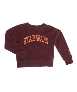 Sudadera afelpada inspirada en Star Wars, diseñada para brindar calidez y un toque especial a los fans de la saga. 

Con el icónico logo de Star Wars en el pecho y un detalle adicional en una manga, esta prenda ofrece un estilo auténtico y llamativo. 

Su interior afelpado asegura una sensación de confort y abrigo, ideal para los días frescos. 

Los acabados acanalados en los puños y el dobladillo mantienen la forma y ofrecen un ajuste cómodo. 

Perfecta para añadir un toque de aventura galáctica al guardarropa diario de los pequeños.
 Composición: 77% Algodón, 23% Poliéster
 Cuidados:
- Lavar a máquina máx. 30ºC.
- Utilizar colores similares en el lavado.
- Evitar el uso de blanqueadores.
- Secar a baja temperatura.
- Planchar a baja temperatura.
- No lavar en seco.