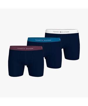 Tommy Hilfiger SIGNATURE COTTON ESS Mens 3 Pack Boxer Briefs Multicoloured

 
 *  Clothing Type: Underwear 
 *  Closure/Fastening: Pull-On 
 *  Features: Comfort 
 *  Item Weight: 0.3 KG 
 *  Clothing Fit: Regular 
 *  Single Or Multi Pack?: 3 Pack 
 *  Gift Boxed: No 
 *  Material Composition: 95% Cotton, 5% Elastane 
 *  Underwear Type: Boxer Briefs 
 *  Underwear Features: TH Repeat Logo Elasticated Waistband Product Code: UM0UM027650VZ