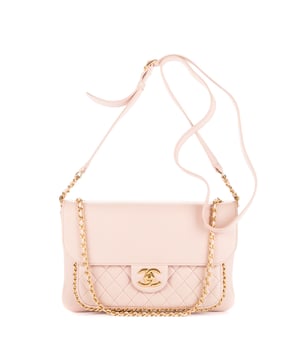 Chanel Bolsas Chain Around Flap Crossbody  Bolso bandolera en Rosa Piel de becerro y Oro hardware. El producto está en en Excelentes Condiciones (A).
  Dimensiones: 25x17x5 cm 
  Accesorios incluidos: "Sticker, Booklets, Dustbag, Box"
    
  BrandCo Paris encuentra artículos raros y en las mejores condiciones a precios increíbles. ¡Vale la pena tener paciencia! Compra con confianza: todos los artículos de BrandCo Paris son seleccionados y autenticados cuidadosamente por nuestro equipo de expertos.
  Todos los artículos vienen con un certificado de autenticidad y un embalaje entregado por BrandCo Paris.
  Tabla de clasificación de la condición del artículo
  N (como nuevo)
  AA (perfecto estado)
  A (excelente estado)
  AB (muy buen estado)
  B (bueno/regular)