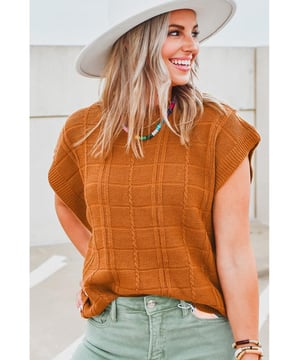 Suéter corto de manga corta texturizado en cuadrícula castaña  
Estilo atemporal con un aspecto elegante y un toque interesante  
Cuello redondo, mangas cortas y corte relajado para mayor comodidad  
Perfecto para combinar con unos jeans y botas  
Los suéteres de dropshipping son populares entre las mujeres modernas  
Alta elasticidad  
Disponible en tallas S, M, L y XL  
Consulta la tabla de tallas para el ajuste perfecto  
Material: 55% acrílico 45% algodón