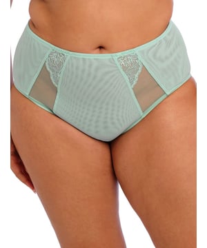 Brianna Full Brief