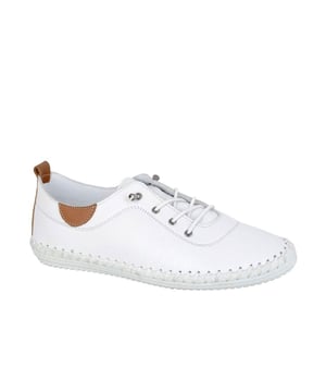 The Mod Comfys Women's Comfort Shoe combines style and practicality for all-day wear. Featuring a soft leather upper, these shoes are designed for both comfort and durability. The elasticated lace closure ensures a snug fit, while the leather comfort sock provides a cushioned feel with every step. For added convenience, the heel pull tab makes it easy to slip them on and off. The PVC sole offers reliable traction and support, making these shoes perfect for daily use. 
 - Leather upper
 - Elasticated lace closure 
 - Leather comfort sock 
 - Heel pull tab for easy on/off wear 
 - PVC Sole