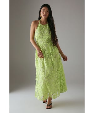 Stunning 3D floral embroidery creates a textured, dimensional effect across the entire dress
        Elegant halterneck design with tie fastening at the nape for a secure fit
        Dramatic open back detail adds a sultry touch to this feminine silhouette
        Midi length offers a flattering profile that works beautifully for special occasions
        Fully lined for comfort and a smooth drape against the skin
    
    Make a statement at your next special event with this exquisitely detailed halterneck midi dress from Warehouse. The showstopping 3D embroidered design creates beautiful texture and dimension that catches the light as you move. The halterneck silhouette frames the dcolletage perfectly, whilst the open back adds a touch of drama and sophistication. Style with strappy heeled sandals as seen on our model, and add statement earrings to complement the dress's intricate detailing. Perfect for summer weddings, garden parties or race day events, this dress can be dressed up with a tailored blazer for more formal occasions or worn as is to showcase the beautiful back detail. The petite cut ensures the proportions are perfectly balanced for a smaller frame.