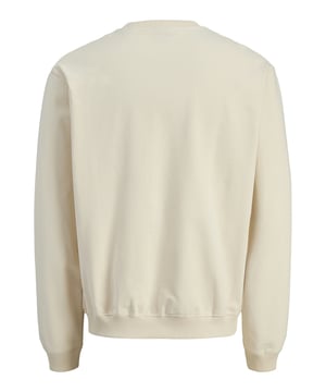 Deze trui combineert stijl en comfort in één. De losse pasvorm zorgt voor een casual gevoel en geeft je volledige bewegingsvrijheid. Dankzij de geborstelde, zachte binnenkant voel je je de hele dag heerlijk. De klassieke ronde hals en geribde boorden en zoom zorgen voor een perfecte pasvorm. De afgezakte schouders geven de trui een coole streetwear-look. De Aesthetics-print op de voorkant maakt van deze trui een echte blikvanger. Een klein labellabel rondt het ontwerp discreet af. Draag hem met jeans of joggers - je kunt hem op verschillende manieren combineren. De trui is ideaal voor school, vrije tijd of gewoon om te ontspannen. Een stijlvolle metgezel die je steeds weer zult willen dragen.