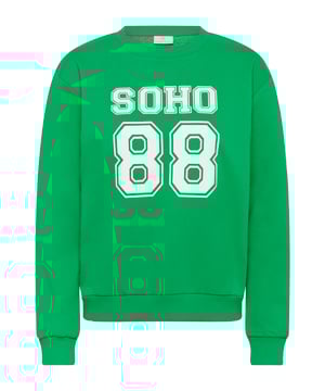 Sweatshirt mit bequemer Passform, Rundhalsausschnitt und gerippten Bündchen. Auffälliges Frontdesign verleiht sportlichen Stil. Vielseitig einsetzbar.    85% Baumwolle,15% Polyester
