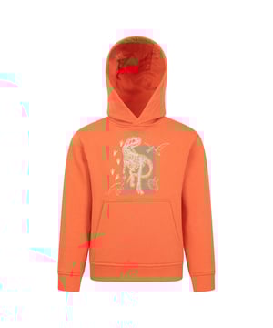 Materiaal: Elastaan, Biologisch Katoen. Stof: Zachte aanraking. Ontwerp: Dinosaurussen, Glow In The Dark, Bedrukt. Stoftechnologie: Ademend. Eigenschappen van de kap: Gegroeid op de kap. Hem: Ribben. Halslijn: Kapitein. Mouwtype: Met lange mouwen. Manchet: Ribbel. Zakken: 1 Kangoeroezak. Bevestiging: Trek aan de achterkant.