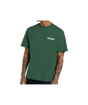 CAMISETA HOMBRE GORDONSVILLE TEE SS VERDE