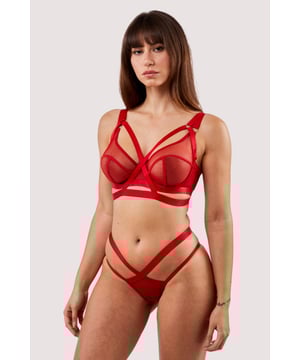 Introducing another collaboration with UK model and body positive activist, Felicity Hayward!
The Mercury red, this harnessladen set is bound to get hearts racing! Sheer red net is contrasted with red satin elastic straps that adorn the hips and waist. The sheer mesh shows a little peek of what's beneath!

Red mesh
Strap detail
100% cotton gusset
Brazilian style back

Product Info
Treat me nice, hand wash only, do not tumble dry
sheetsvalue''',"12":0,"14":[null,2,16750848]}'Main: 83% Nylon 17% Elastane Gusset Liner: 100% Cotton Excluding Trims