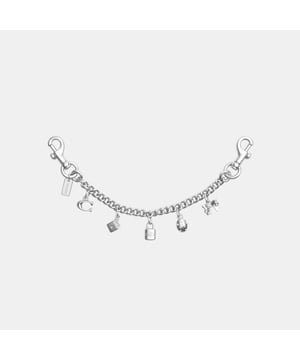 Silver Swagger Chain with Charms, Dogleash clips,  Length: 27.00 cm