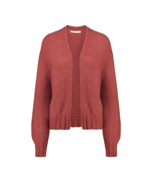 
Dit charmante vest in de prachtige kleur koraal rood is een absolute must-have voor elke vrouw! Dit vest is gebreid van 100% katoen en voelt daardoor heerlijk zacht en comfortabel aan. Het merk Geisha staat bekend om haar stijlvolle en trendy kleding voor dames en dit vest is daar een perfect voorbeeld van.en#10;en#10;De koraal rode kleur is helemaal on trend en zorgt voor een opvallende look. Dit vest valt net boven de heupen en heeft een mooie, getailleerde pasvorm. Hierdoor wordt jouw figuur op de juiste manier geaccentueerd. Dankzij de lange mouwen en de knoopsluiting aan de voorkant is dit vest perfect voor de wat koelere dagen in het voorjaar of de zomer.en#10;en#10;Combineer dit vest met een basic witte top, een stoere jeans en een paar sneakers voor een trendy casual look. Of draag het over een jurkje voor een meer geklede uitstraling. Hoe dan ook, met dit vest van Geisha voeg je direct een dosis kleur en stijl toe aan jouw garderobe!en#10;en#10;Kortom, dit koraal rode vest van Geisha is een echte eyecatcher en een must-have voor elke fashionista. Bestel hem nu en voeg een vleugje kleur en comfort toe aan jouw outfits!
