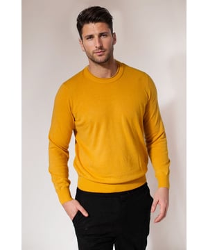 Every man needs a classic crew neck jumper to wear year round. These come in a range of fabulous colours, and are made from a super soft lambswool. The neckline features a rolled edge with ribbed trim.

28" shoulder to hem.