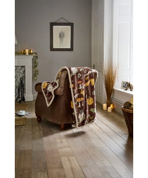 The Autumn Animals Throw brings woodland charm indoors. With squirrels, hedgehogs, mushrooms, and acorns on a cosy rust base, this 130x170cm flannel and sherpa blanket is perfect for autumn evenings.