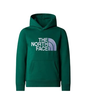 
The North Face Drew Peak P/O Casual Sweater Jongens Groen 128