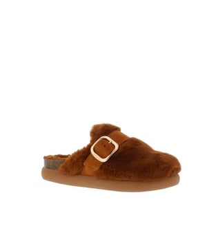 
Scholl Ivy Buckle Dames Muil
