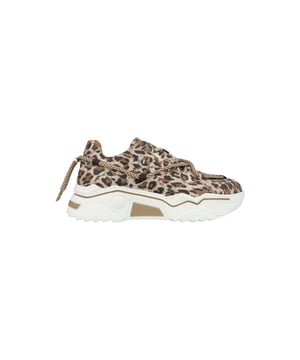
DWRS Jupiter Leopard Glimmer J5554C-91-8411 Beige. Voor 23.59uur besteld, morgen geleverd.