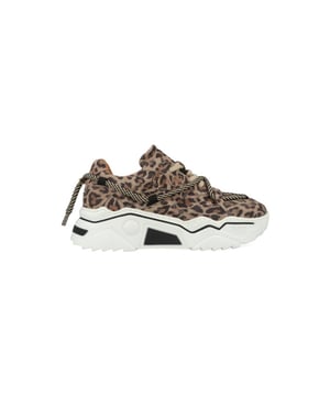 
DWRS Jupiter Leopard J5554C-77-8201 Beige. Voor 23.59uur besteld, morgen geleverd.